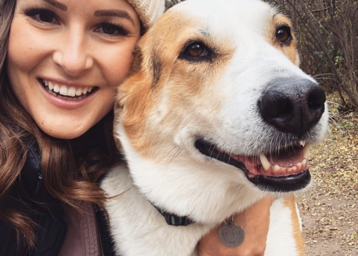 Edmonton Dog Walker Certified Dog Walkers The Leash Team